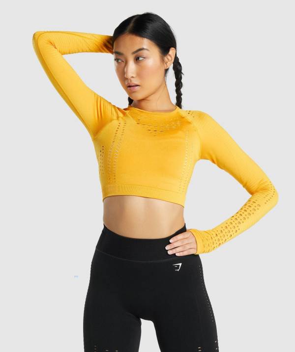 Damske Crop Top Gymshark Glow Long Sleeve Seamless Žlté | DR5864921